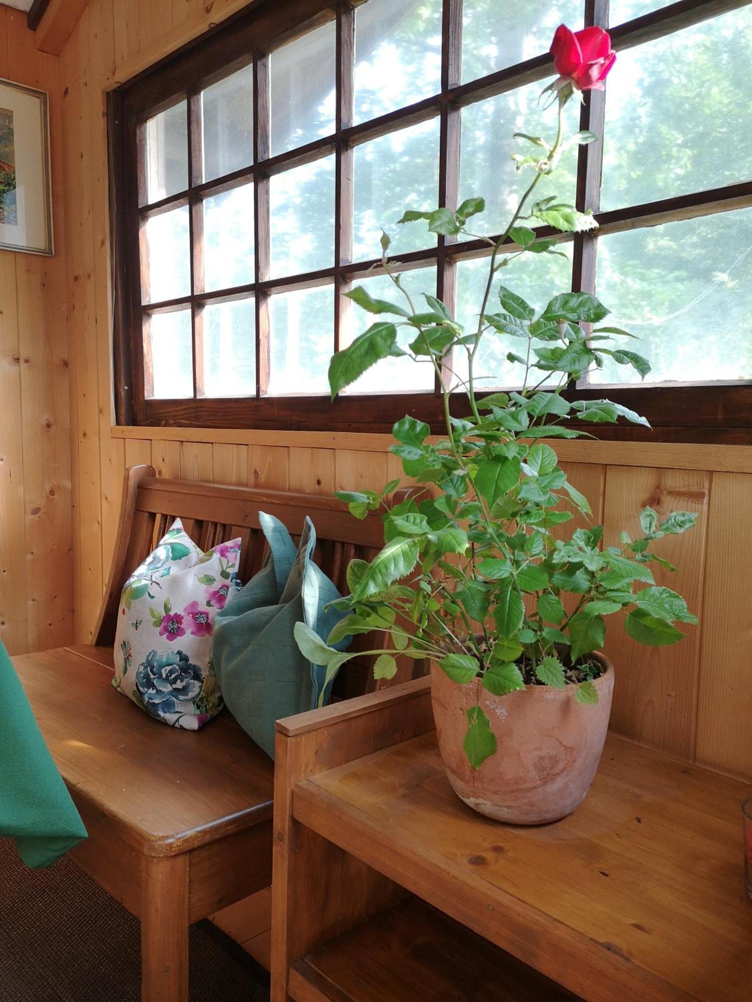 Ferienwohnung Schmidt - Natur Und Ruhe Schwaigen Rom bilde